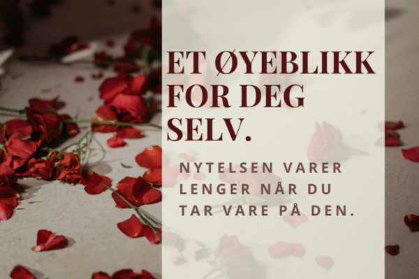 Slik tar du vare på sexleketøyet ditt – med litt kjærlighet og omtanke Røde roseblader strødd utover et lyst sengetøy, med tekst om egenomsorg og nytelse – symbol på intimitet, sensualitet og det å ta vare på seg selv